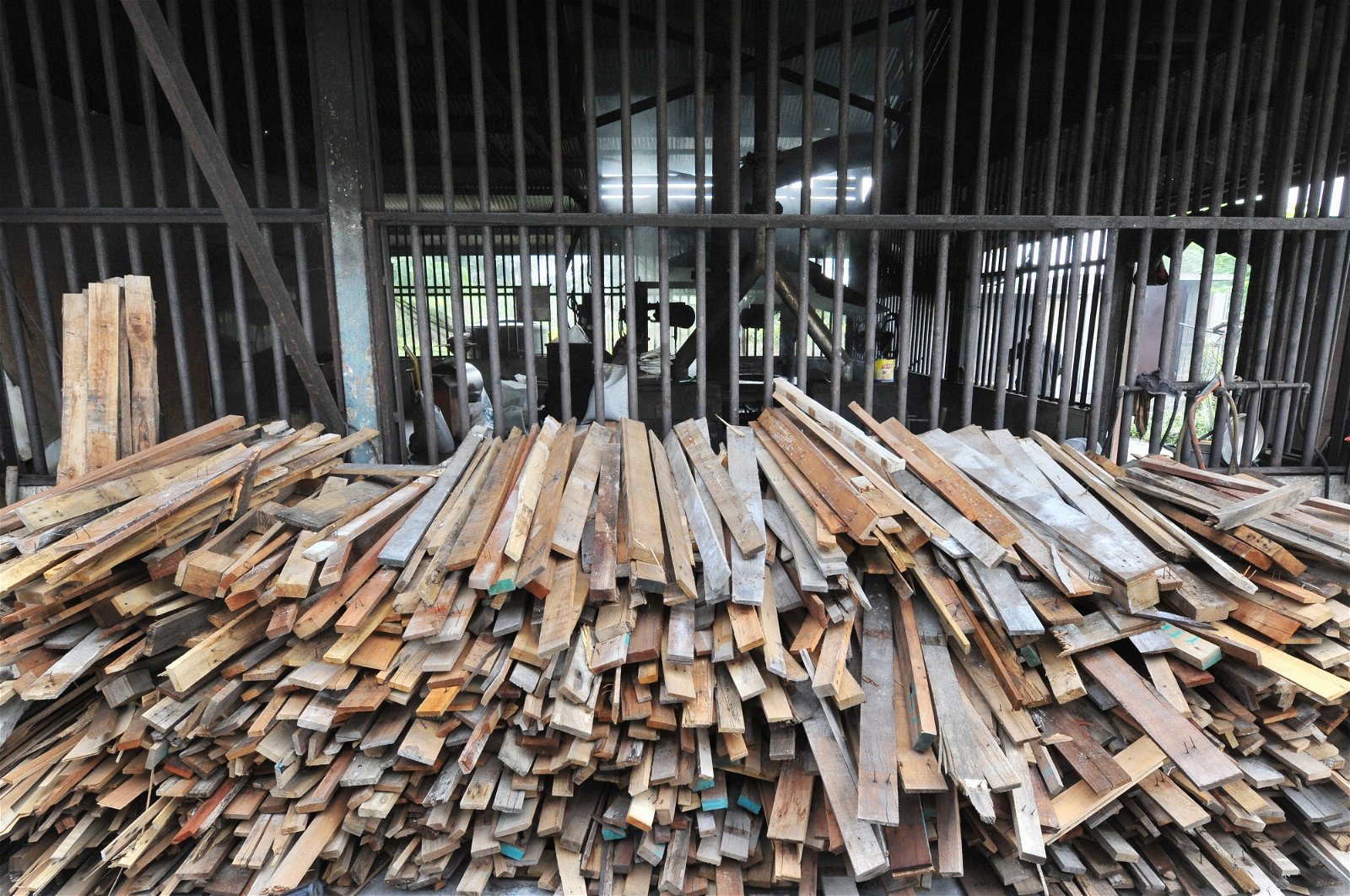 工厂外堆满了从木托盘拆卸下来的木头，陈焕达谓，由于原木的售价渐涨，目前以木托盘取代。