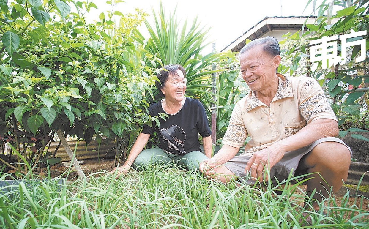 马振良（右）与妻子潘满妹（左）经常打理住家外的菜园，消磨时光。