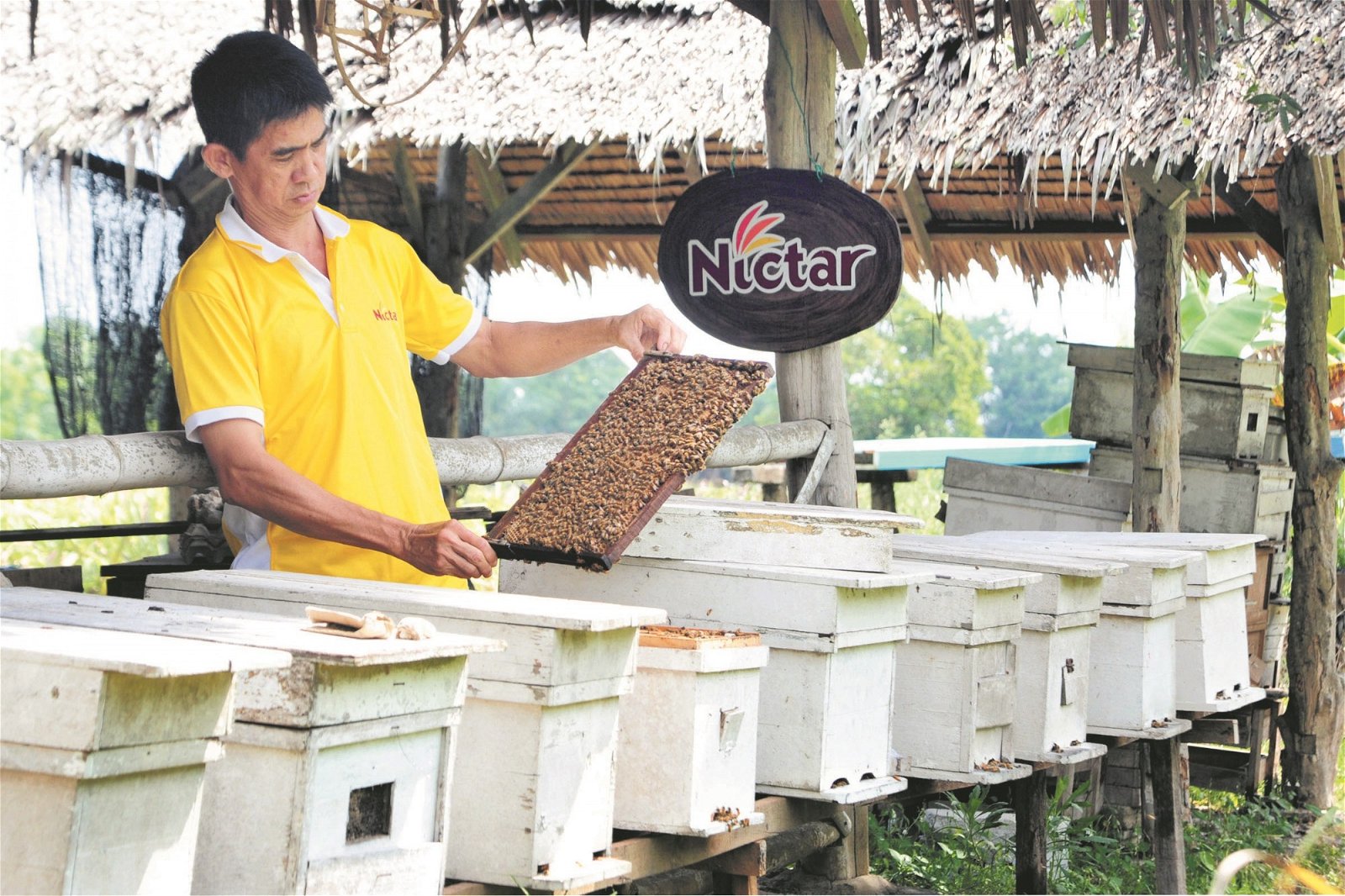 林荣华展示养殖蜜蜂的蜂箱，并通过养殖蜜蜂向到访的民众讲解一课自然生态保育课程。