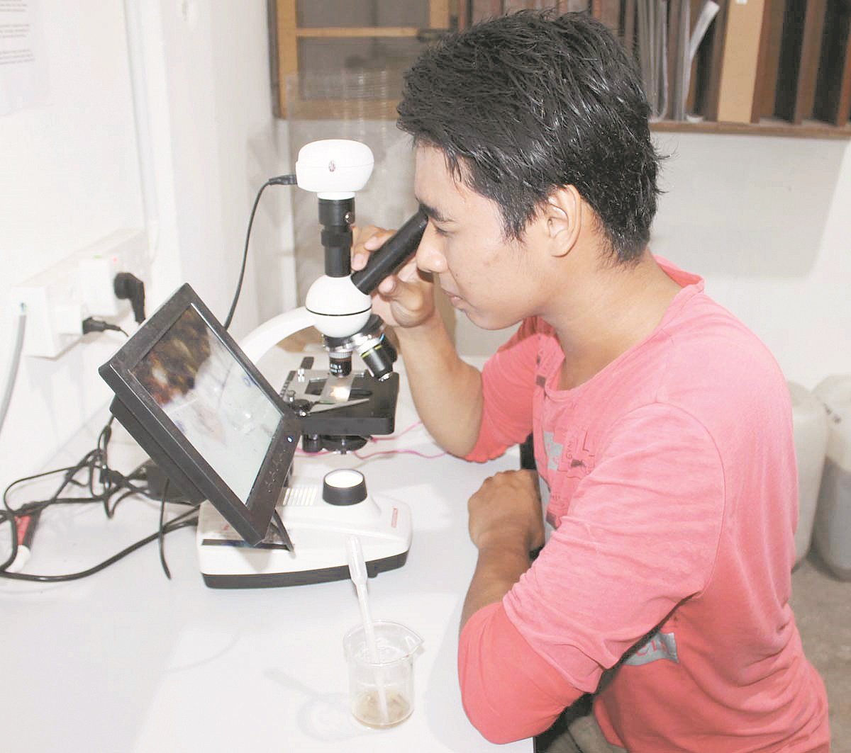 职员通过显微镜观察鱼只排泄物，掌握鱼只的健康状况，以及是否有遭病虫害侵袭。