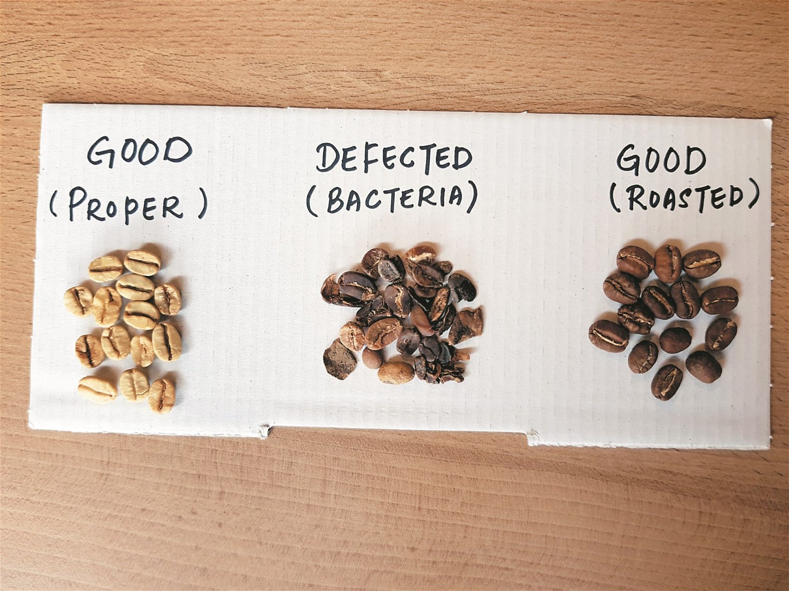 张保伟现场拿出3种不同的咖啡，以此作简单的咖啡豆辨认介绍，他希望这场嘉年华也能达到建立基础咖啡知识的作用。