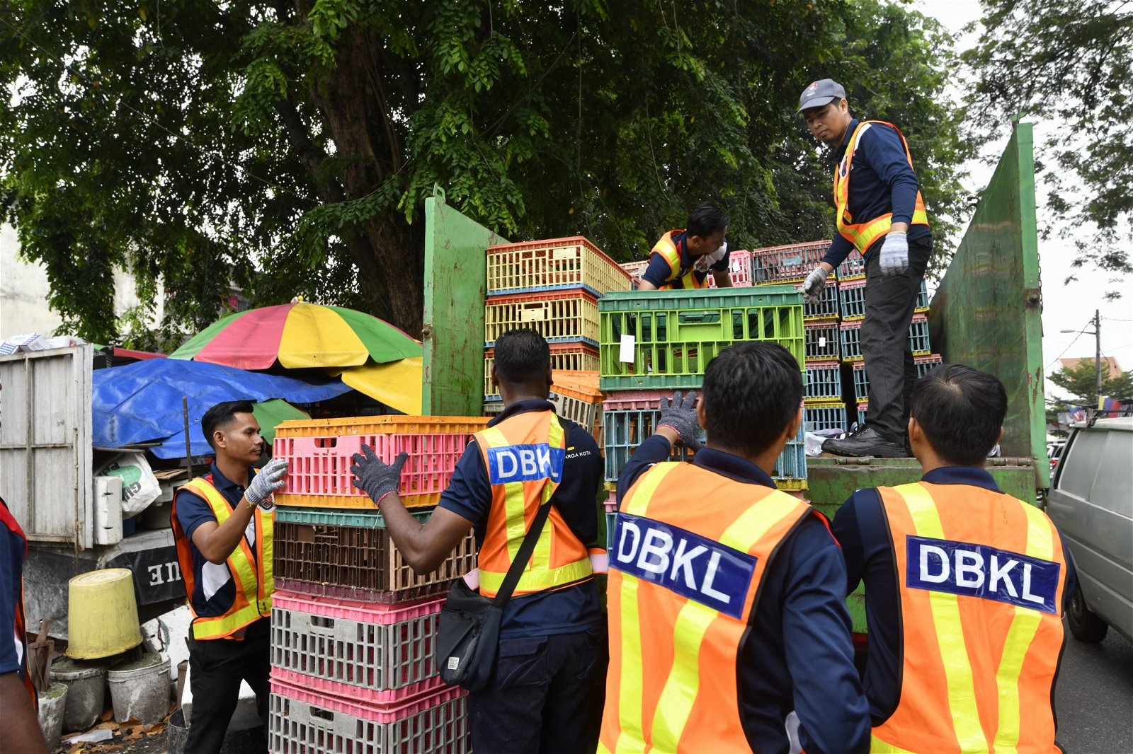 吉隆坡市政局出动两辆大啰里和逾10名官员到增加北区巴刹展开取缔行动，官员将鸡商违例摆 放的鸡笼一一充公，并开出1000令吉的罚单给小贩。 （摄影：伍信隆）