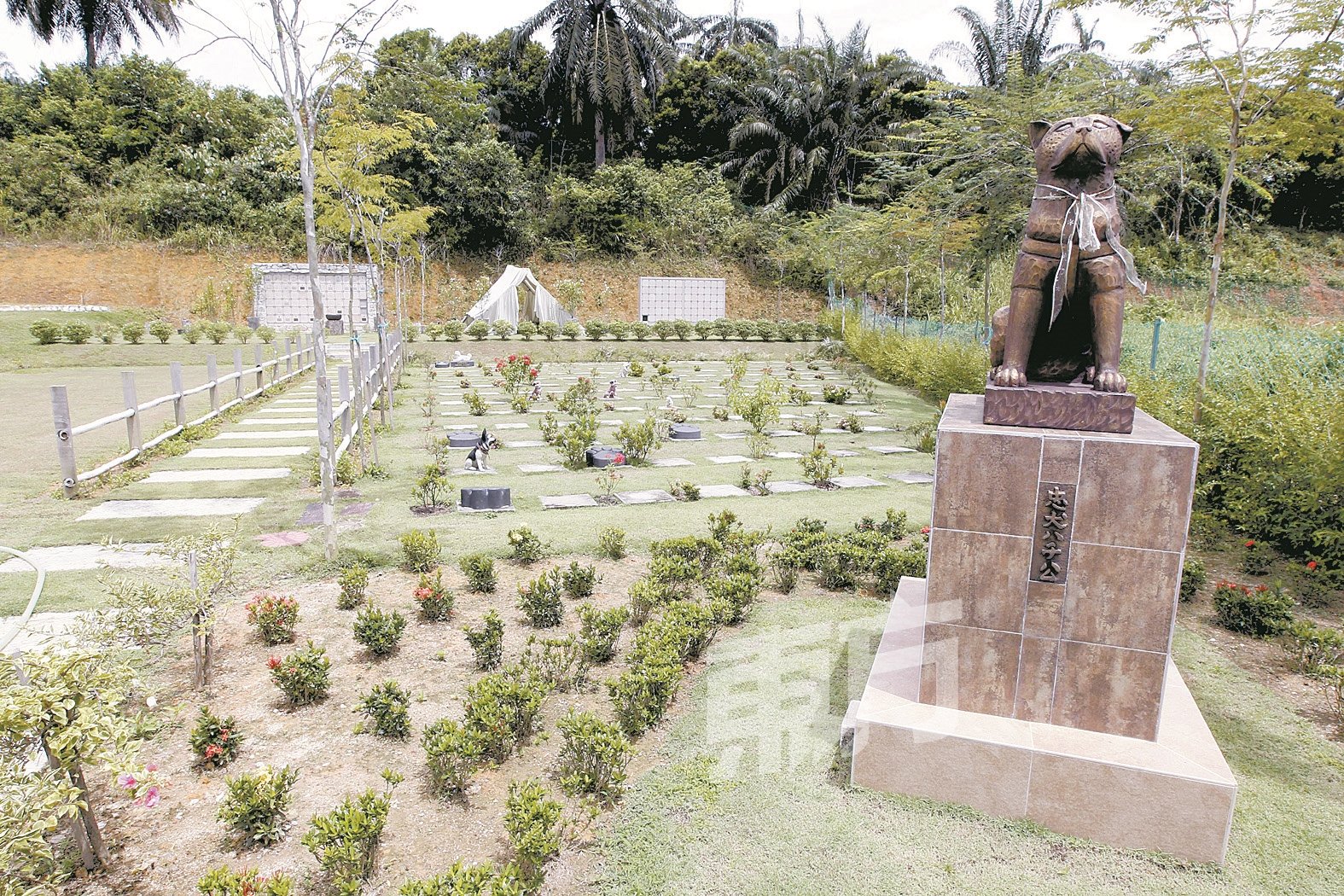 彩虹桥宠物墓园内也设有日本著名忠犬“八公”（Hachiko）的雕像，以纪念毛孩对主人的忠心和奉献。（摄影：李家俊）