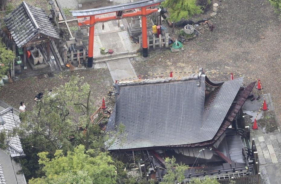日本：台风“西马仑”横扫日本，狂风肆虐破坏力惊人，京都的一座神社被台风摧毁。