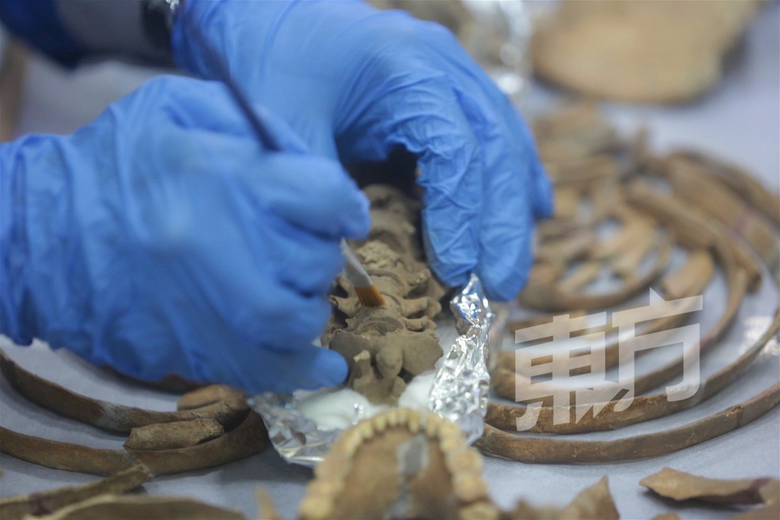 大马文物遗产局考古队成员谨慎将骸骨的表土清除。（摄影：骆曼）