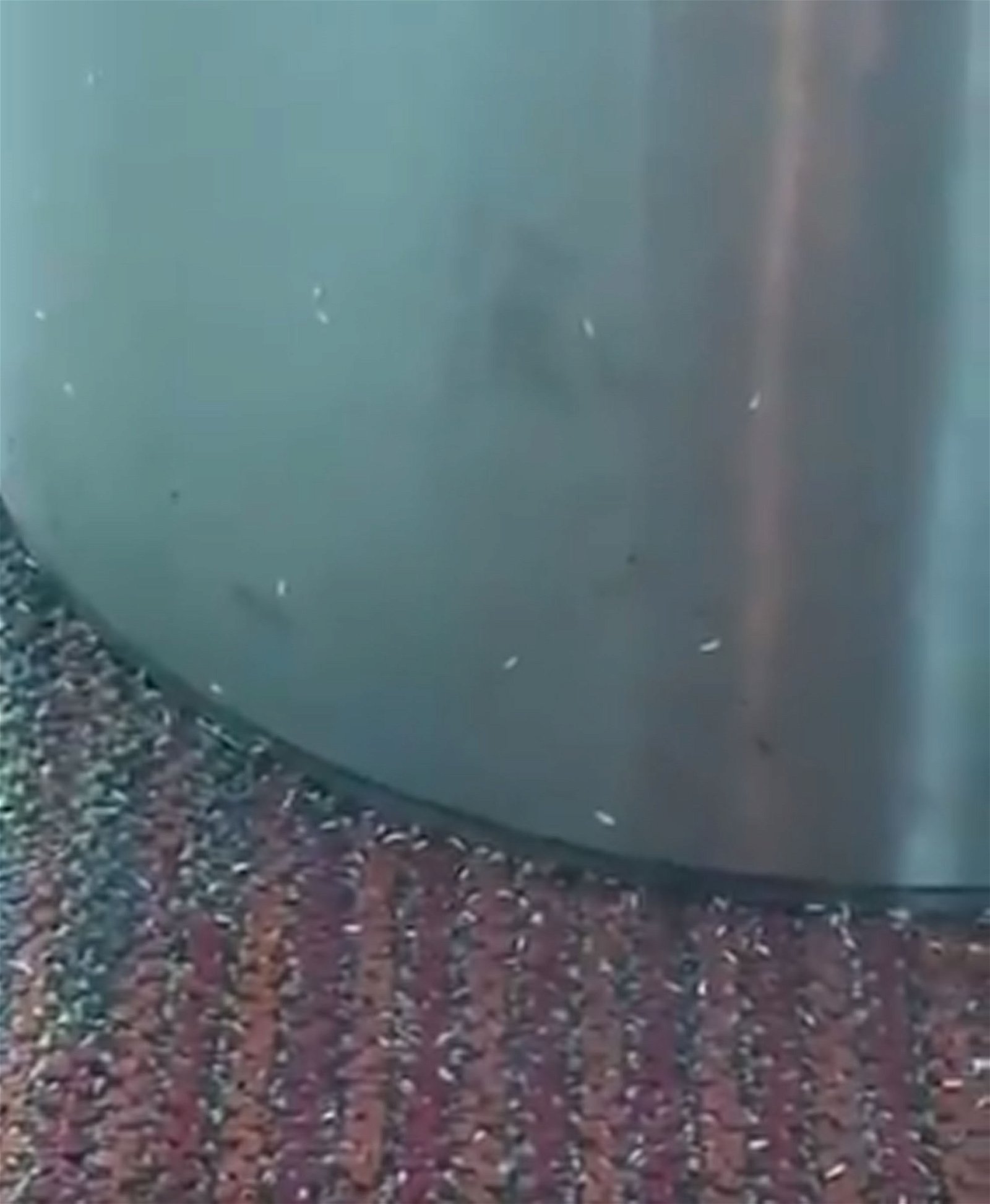 亚航通讯部主任莫哈末阿兹日前上传了一段显示机场垃圾桶堆满蛀虫的视频，却被大马机场报警举报。
