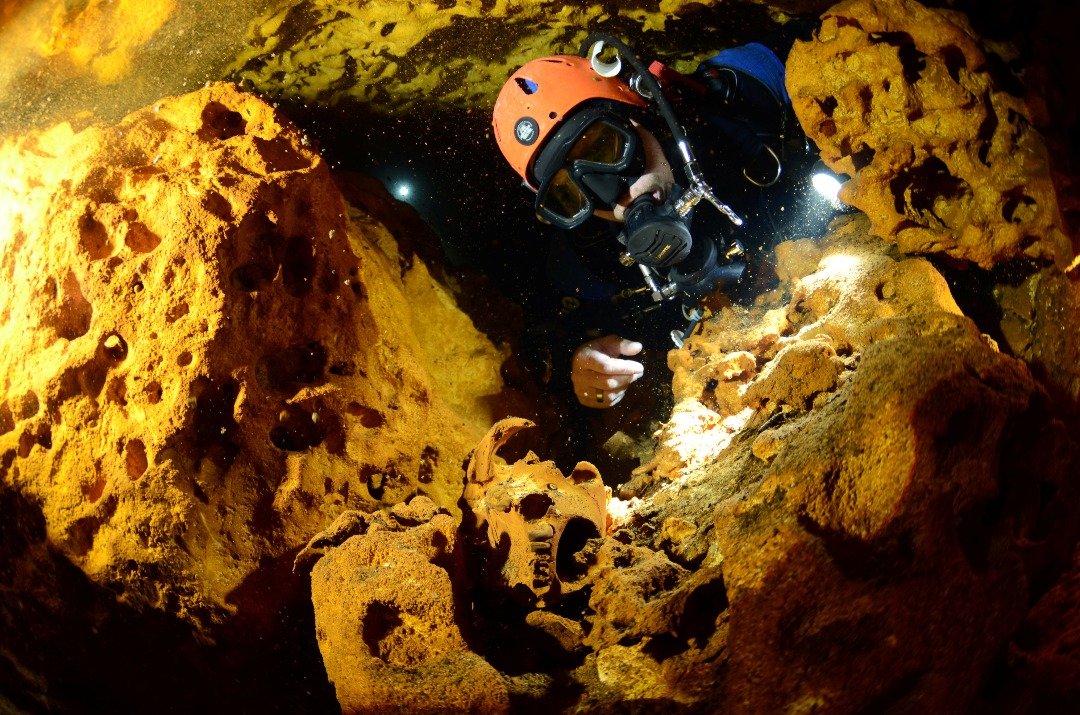 在“白色洞穴”水下洞穴里，潜水员注视著发现的动物头骨。