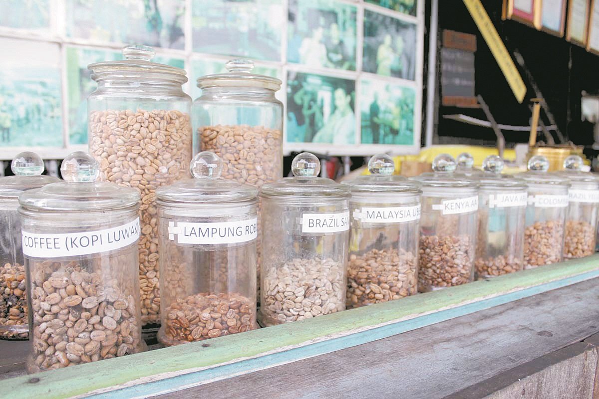 咖啡厂前展示各国咖啡豆，让访客观赏和认识各国咖啡豆的特征。