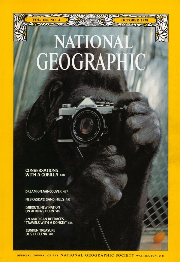 可可曾拍过多部纪录片，并两度登上国家地理杂志，图为1978年的一帧封面照是可可面对镜子自拍下来的照片。