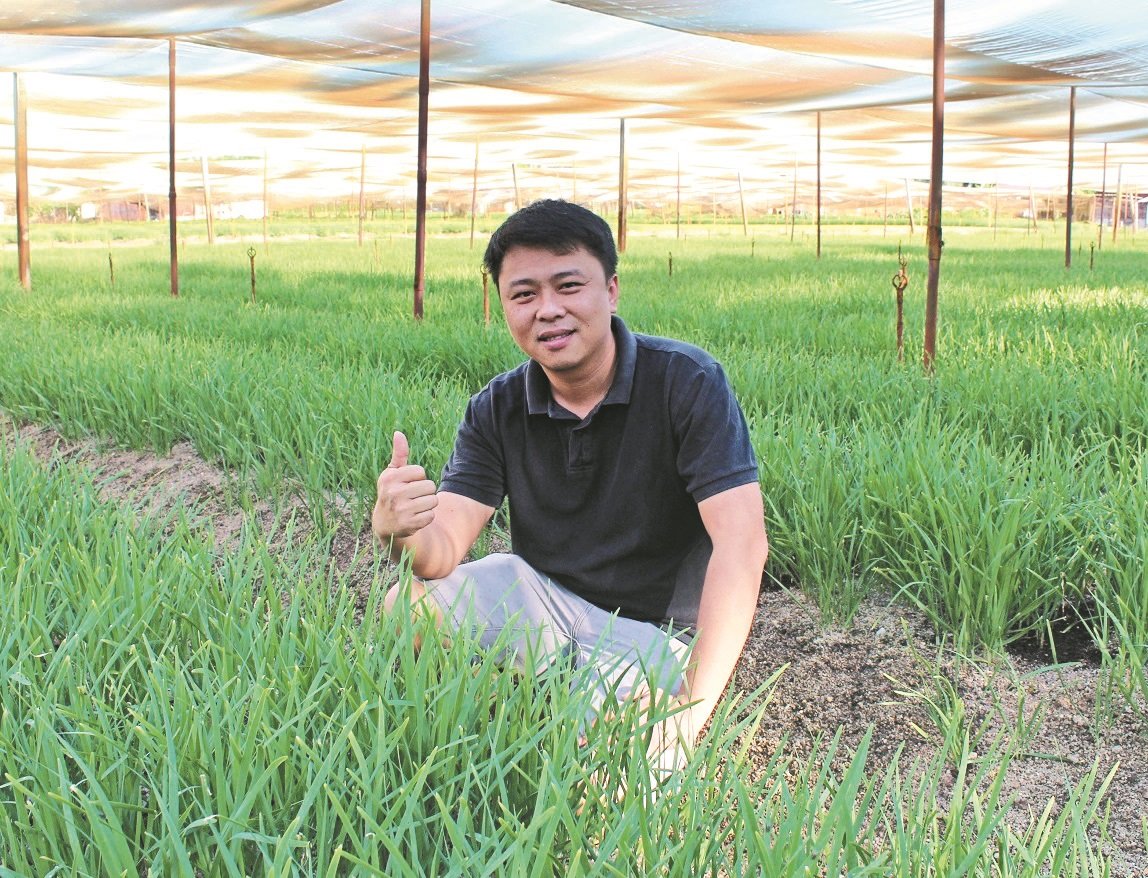 谢松辉自6年前起边从吉隆坡回流，现已成为双溪隆勿村内的二代韭菜菜农。