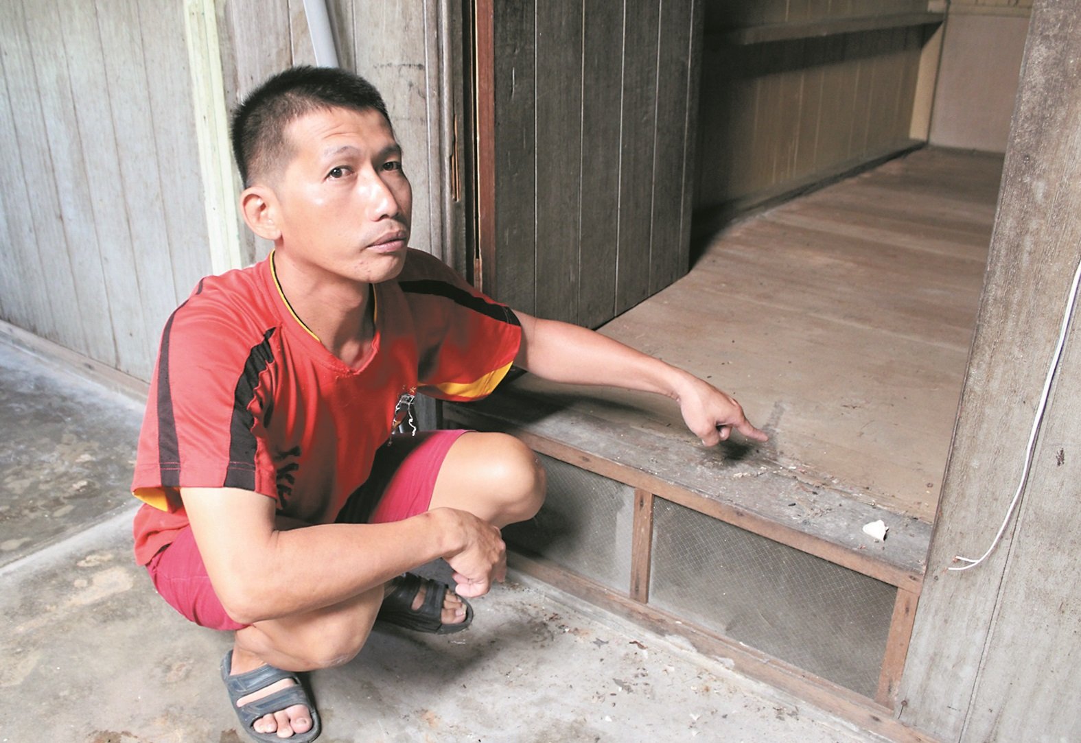 梁细龙表示，家中的地板及墙板已有白蚁腐蚀的迹象，但他也无能为力。