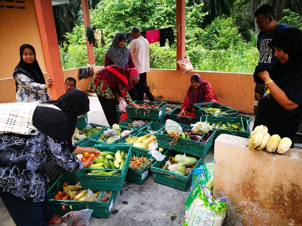 政府组织及善心人士也提供援助，将食材载到救灾中心，好让灾民自行选择所需烹煮的食材。