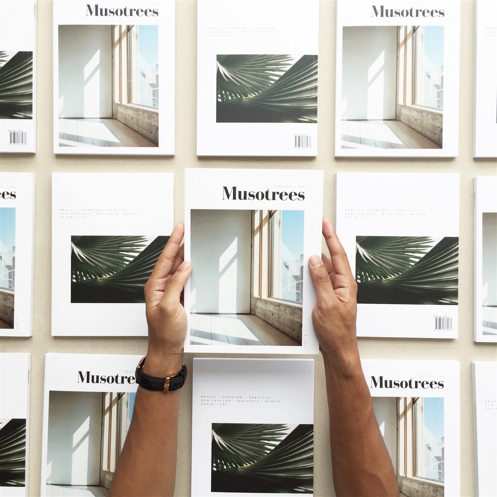 凯洛认为，《Musotrees》既是一本杂志，也可以被看作一本书，“读者通常是旅人、设计师、咖啡爱好者，一般上是钟情于美学和质感的人，书籍收藏者也可能会喜欢它。”