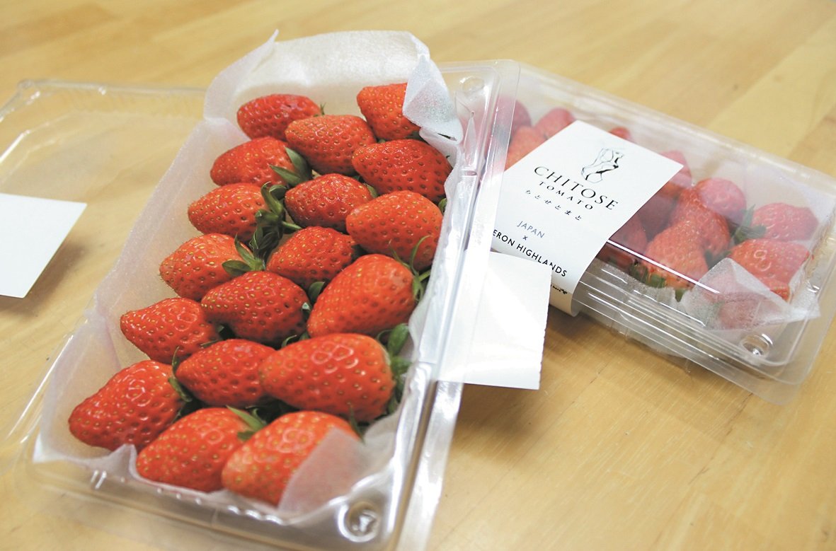 品质最好的的日本草莓，每250公克在新加坡的售价为24元90仙新币（约75令吉60仙）。