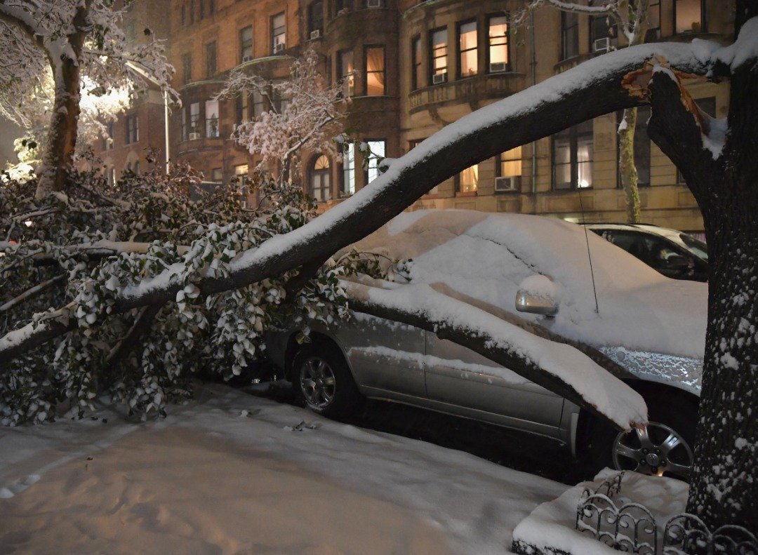 冬季风暴侵袭纽约市，曼哈顿区街道旁的一棵大树因此折断，差点压到停在路边的轿车。