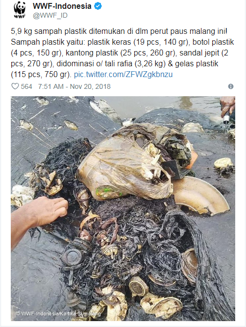 翻摄自世界自然基金会印尼区推特。