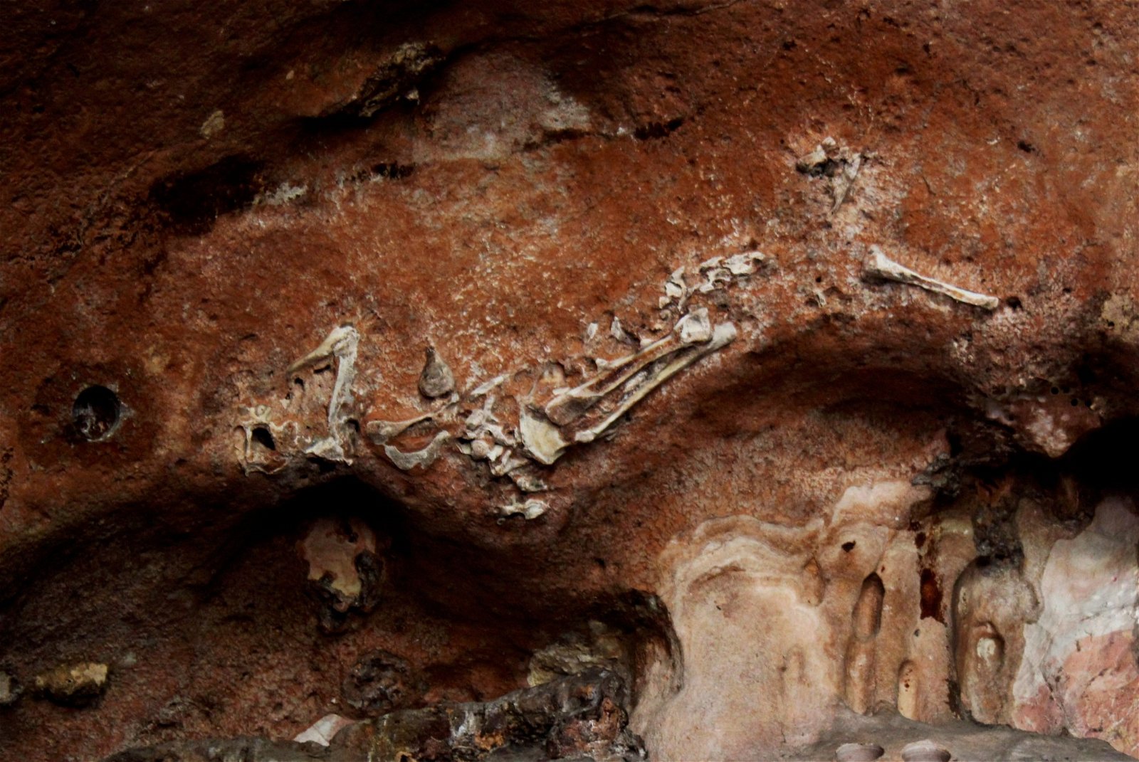 位处金龙洞洞顶的“老虎”化石曾吸引游客到访观赏，州政府如今为了让专才专注研究，暂时关闭该洞，不开放参观。
