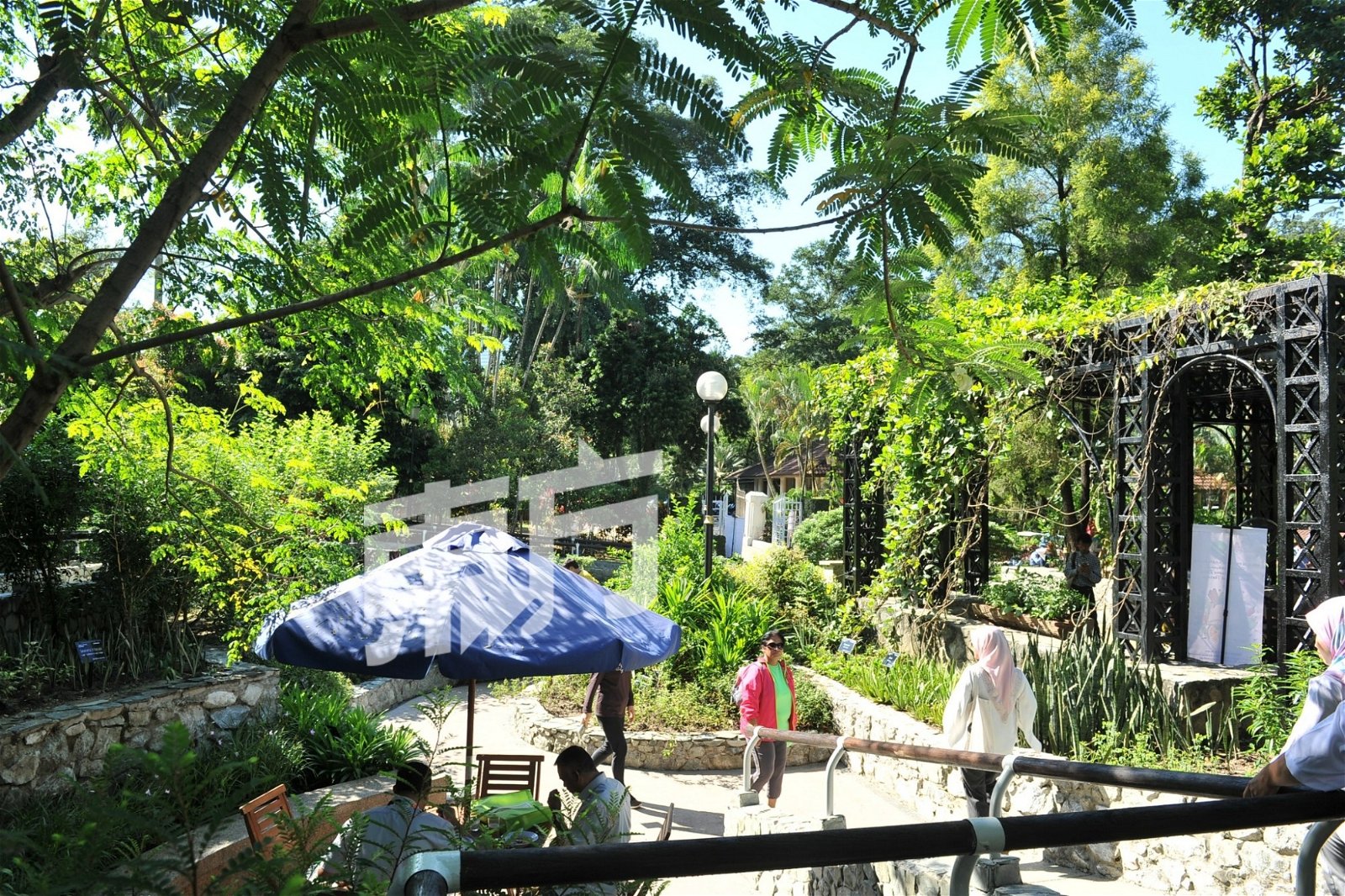 隆市政局为提高阅读便利性以及加深人民对植物的了解，有意为吉隆坡植物园迎向电子化，让长期居住在城市的民众或观光客，能够透过电子产品，获得植物品种的资讯以及药用价值。（摄影：连国强）
