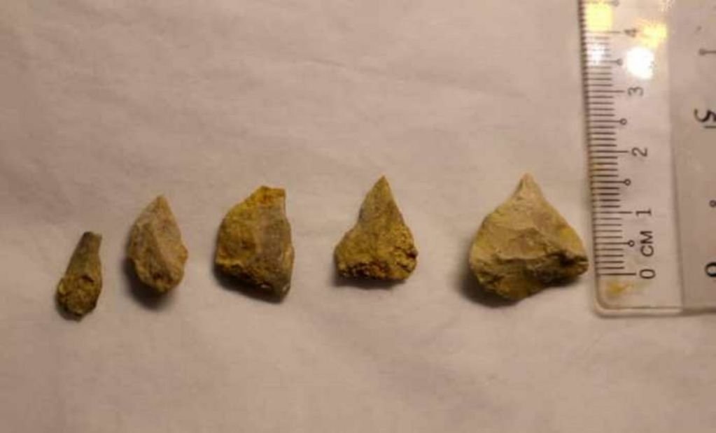 在尼亚国家公园所发现，拥有6万5000年历史的细石器。