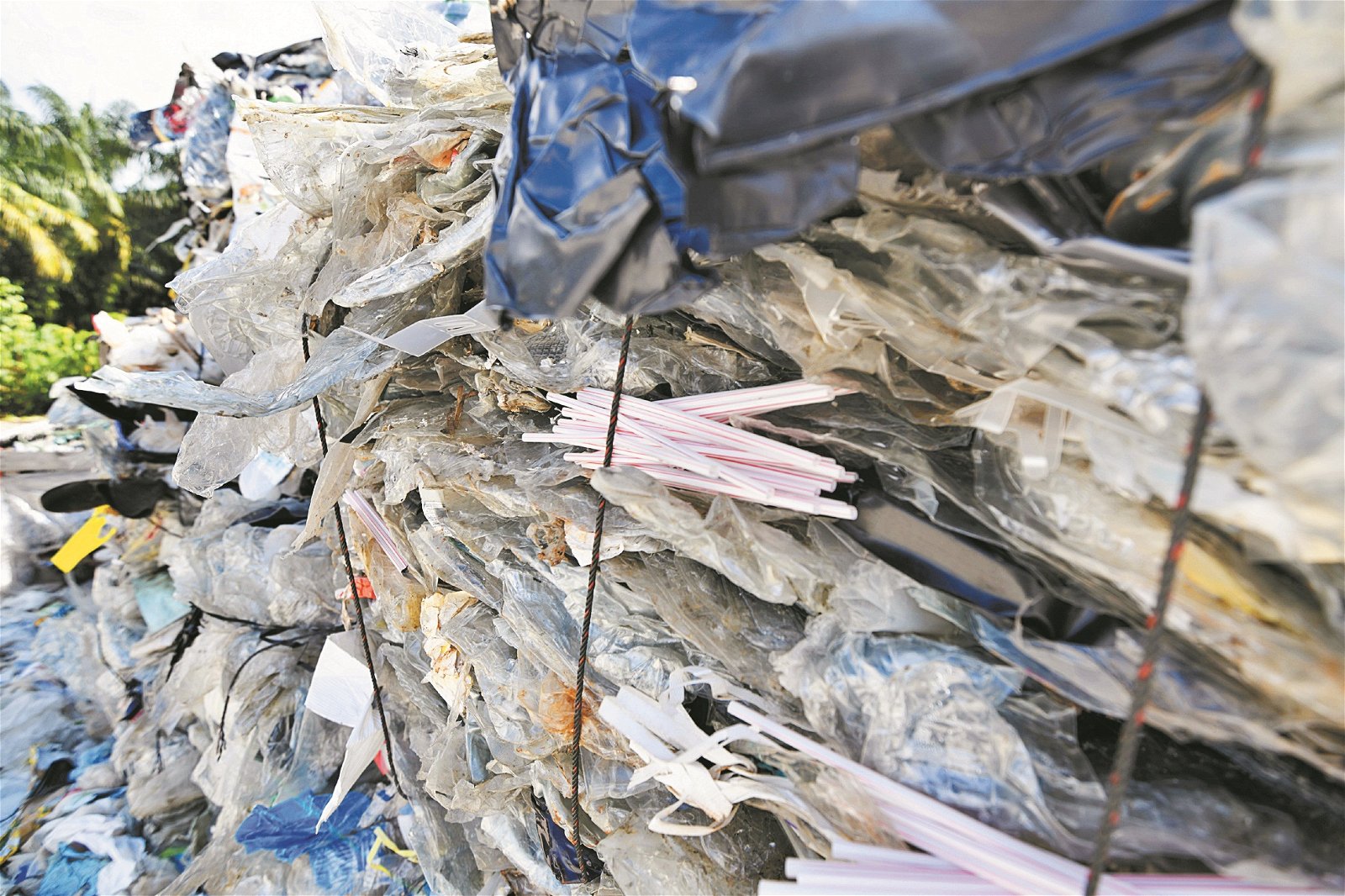 洋垃圾的各种塑料混杂在一起，加重了 再循环的工作。