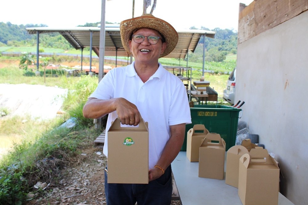 马文光计划将其蜜瓜包装成精致的水果礼盒，成为人们送礼时的必备佳品。