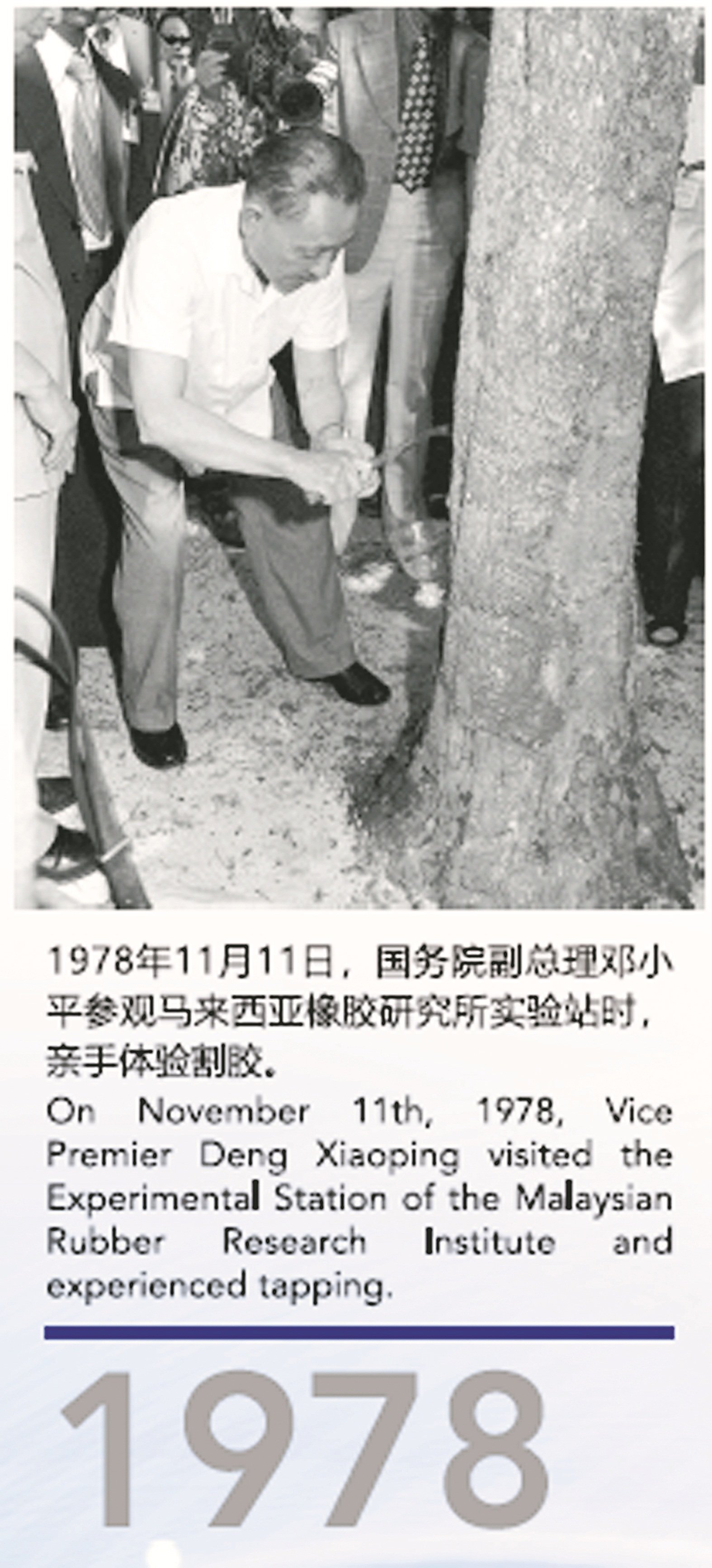《共建美好未来》大型图片 展中，展出中国前国务院副 总经理邓小平在1978年来马 体验割胶的珍贵照片。