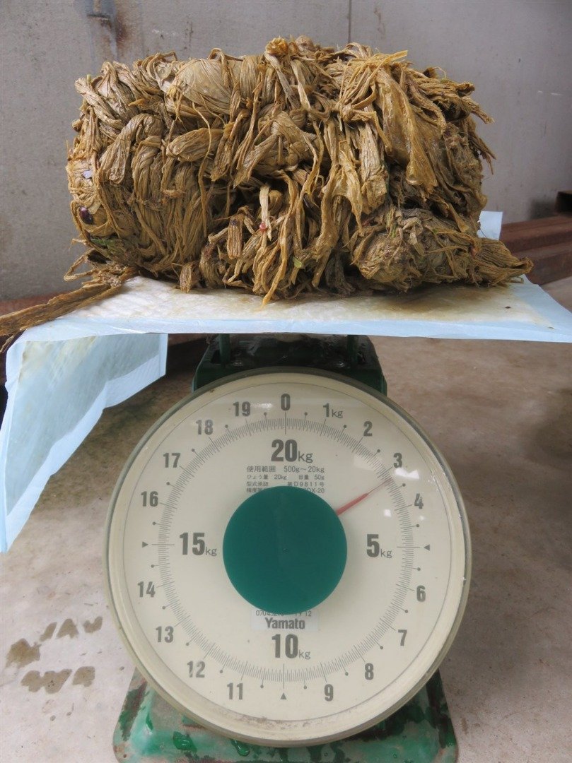 经解剖后发现，涉事死亡的母鹿胃内存有纠结成团、重达3.2公斤的塑胶袋。
