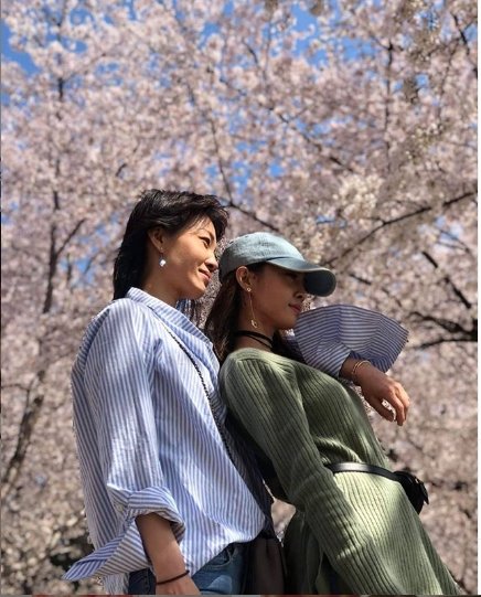 蔡依林和姊姊外出赏樱。