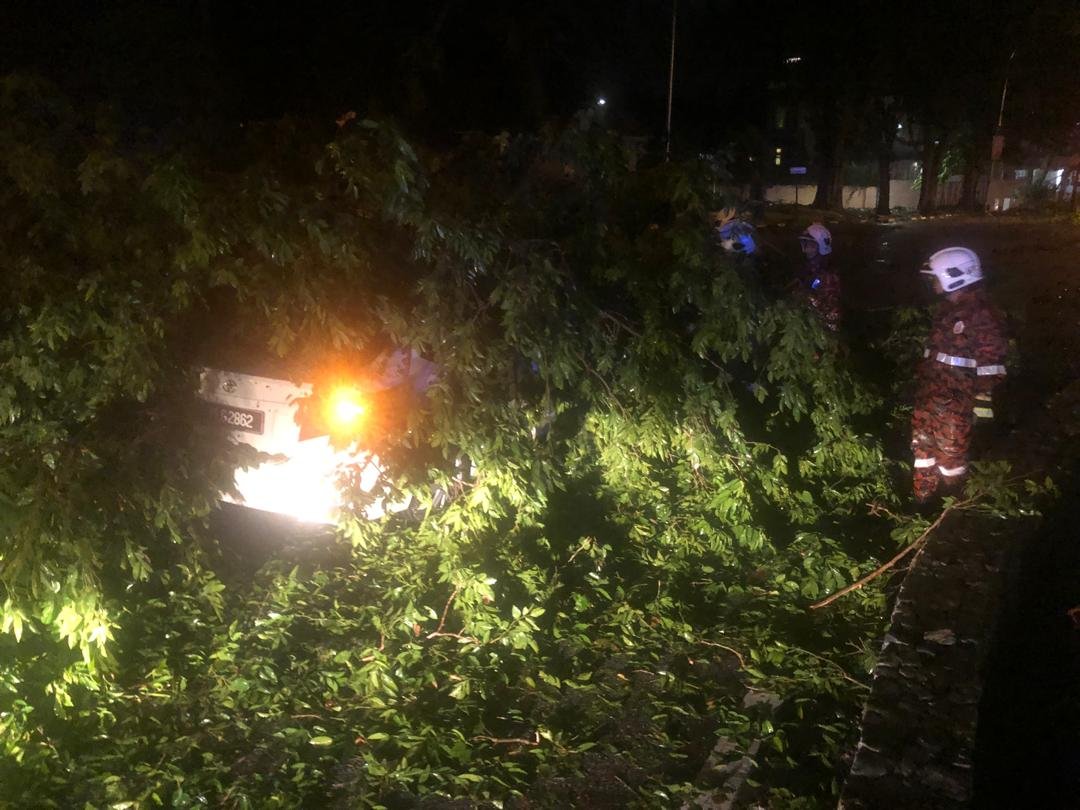 槟城峇六拜区树倒压车。