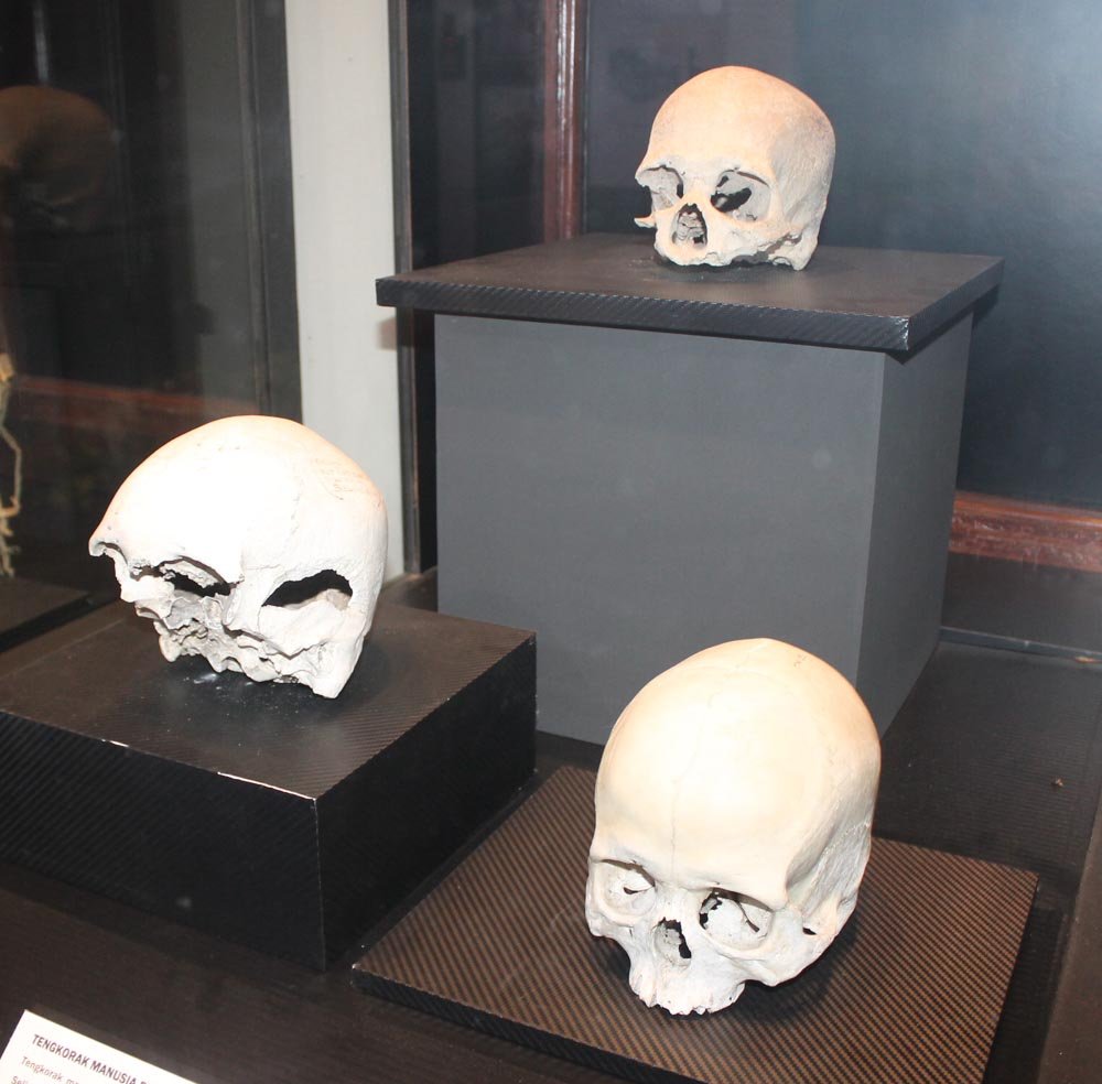 太平霹雳博物馆馆长兼考古学家依文在上世纪20年代，于竹沙港挖掘出属于原史时代的人类头颅，目前展示在霹雳博物馆。