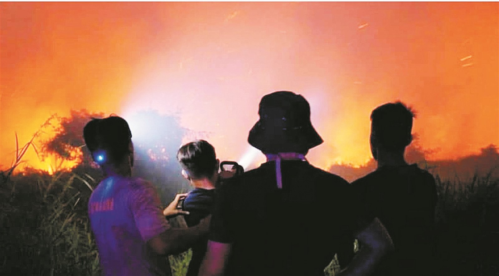 砂州野火狂烧，消拯人员不分昼夜忙于灭火。