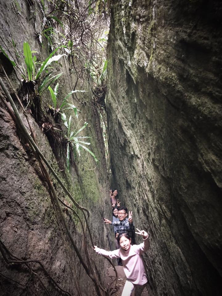 台东布农族部落的游学团，参与者们跟随原住民朋友探索祖辈居住的森林，森林里有个山壁叫“一线天”，需要侧身移动，才能走过这一段路。