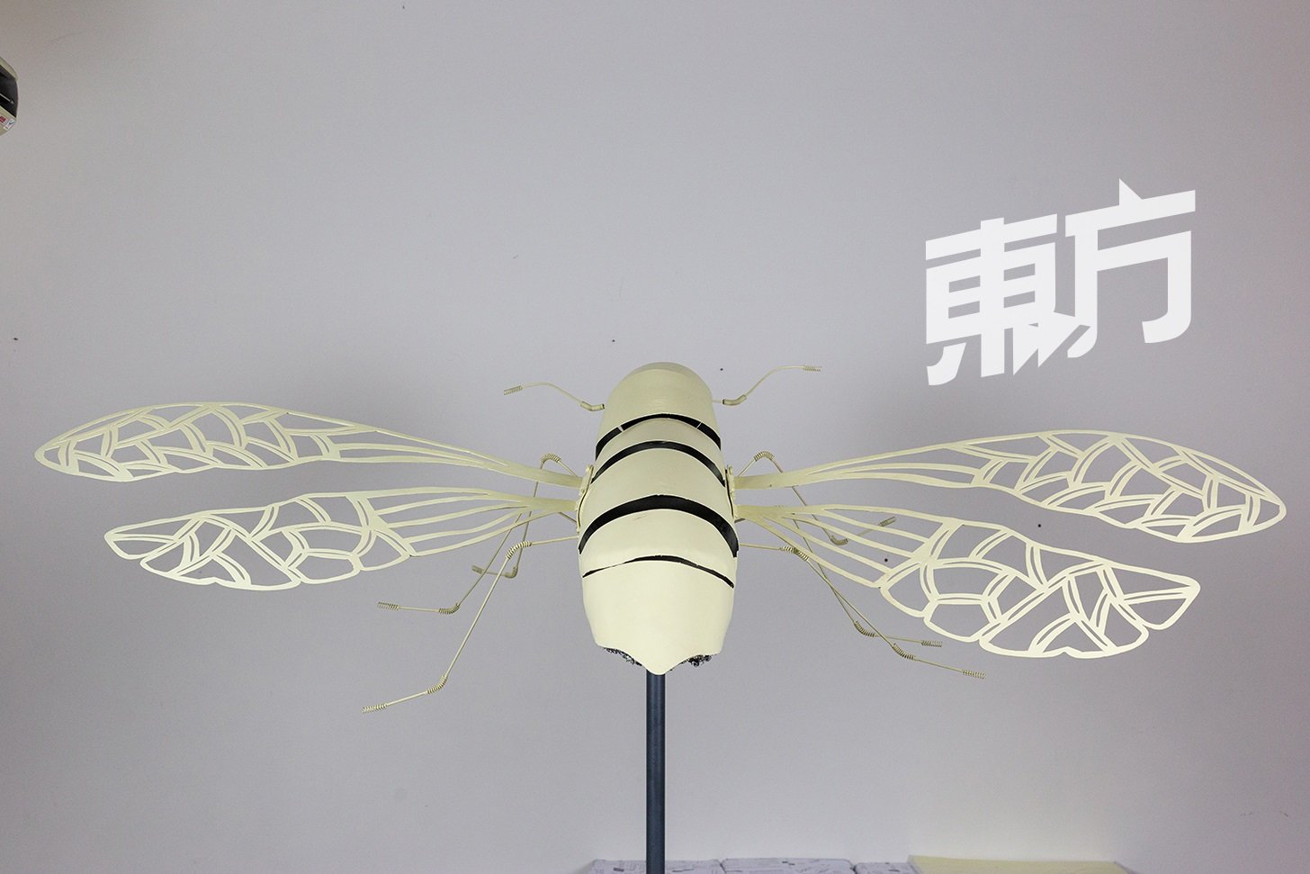 洁希丽除了放大视觉效果，还模拟蜜蜂翅膀震动的声音，让人们在观赏装置艺术时也能有听觉感官上的感受。