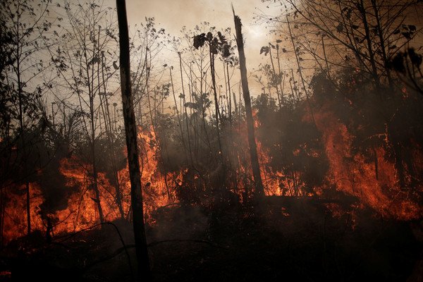 亚马逊雨林大火已延烧近一个月。