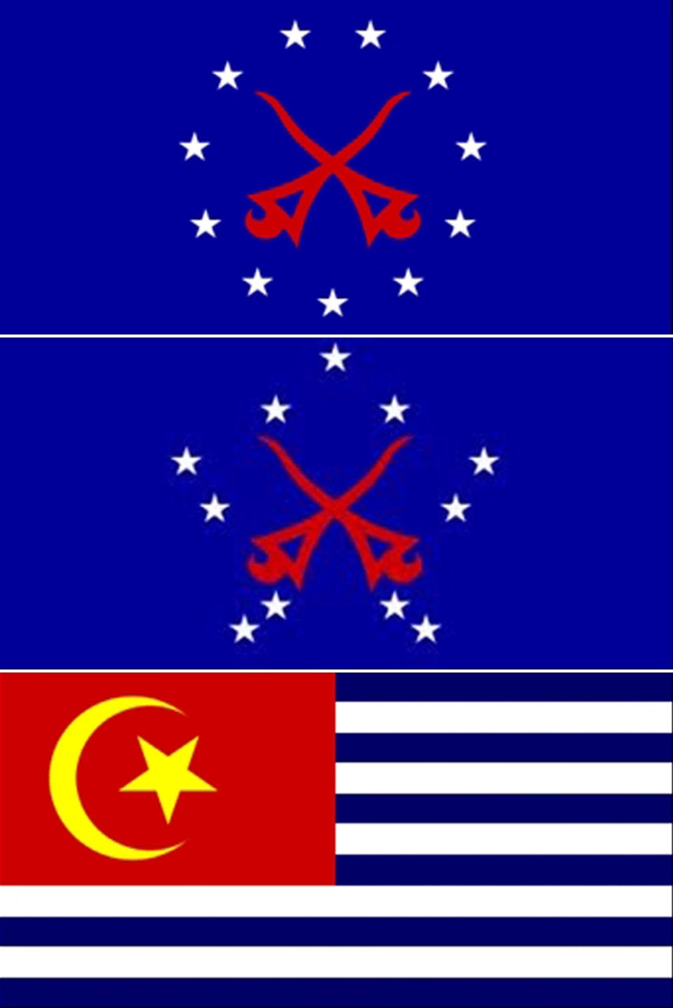 （由上至下）第一份设计：两把相交的马来短剑在中央，被11颗五角星围绕。 第二份设计：与第一个设计相差不大，为11颗五角星围绕环绕两圈，位于中央的两把相交马来短剑。 第三份设计：6蓝色和5白色条纹，左上角背景为红色，内有黄色星月。