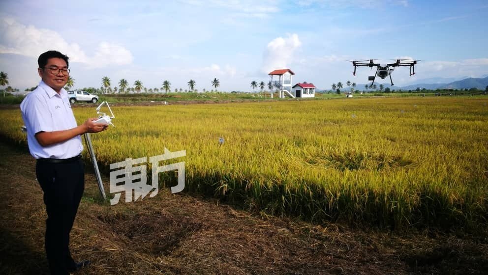 沈志勤示范使用无人机施肥及喷射农业，这也是我国农业未来的趋势。