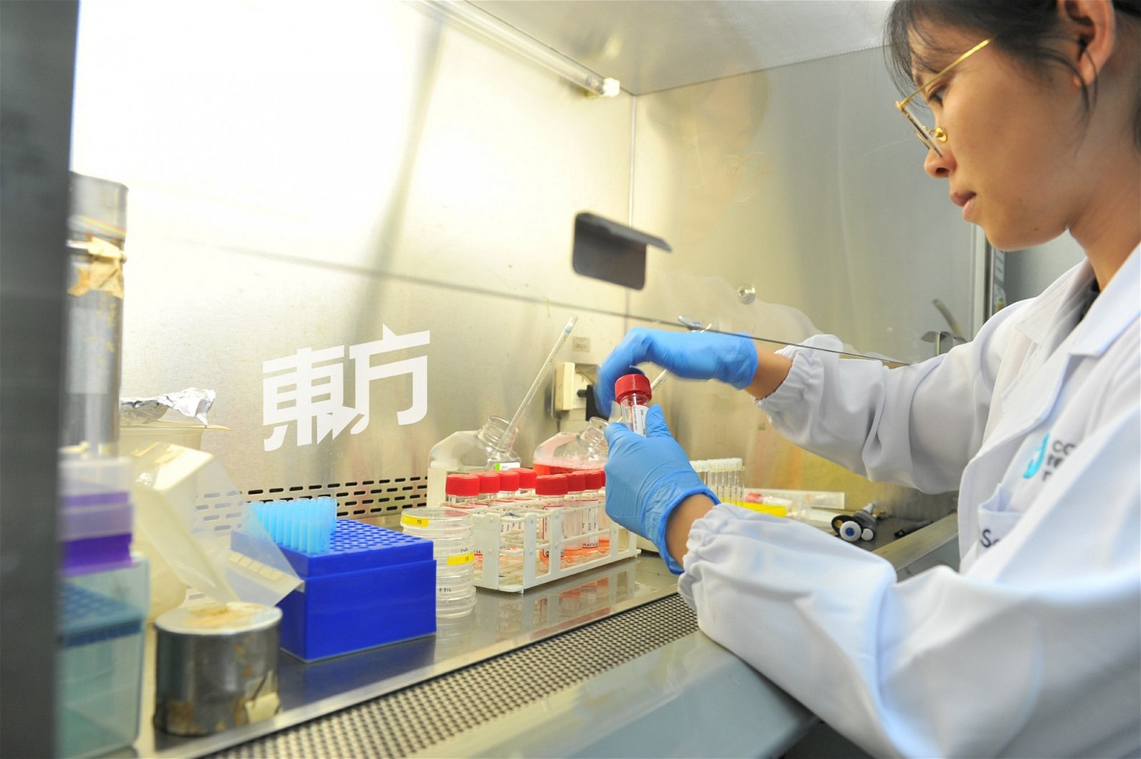中心会抽取属于亚洲人的癌细胞作为研发标本，进而研发出适合亚洲人的治疗方案。