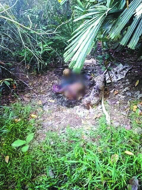 11岁女童西蒂玛依达遭弃尸于油棕园内。 （图片取自网络）