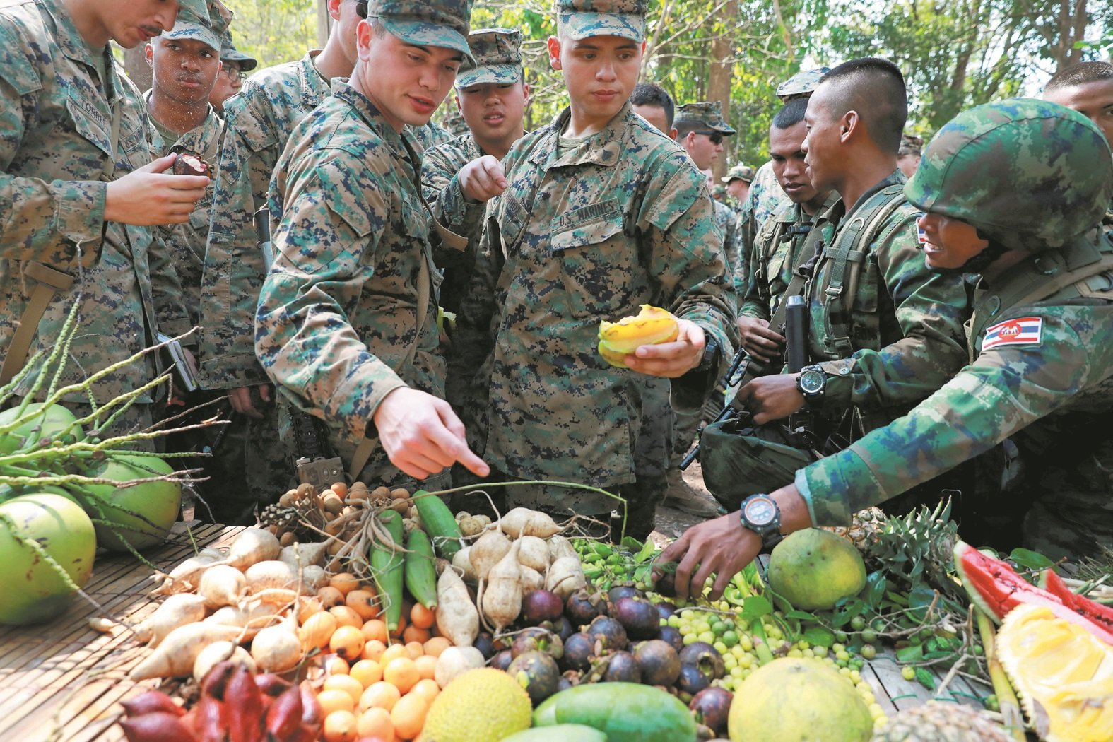 身为此次军演东道主的泰国，准备了各式各样的本土水果让美兵品 尝。泰国士兵（右）向美国士兵介绍他们国家的水果，包括椰子、 山竹、蛇皮果、杨桃、龙眼等。