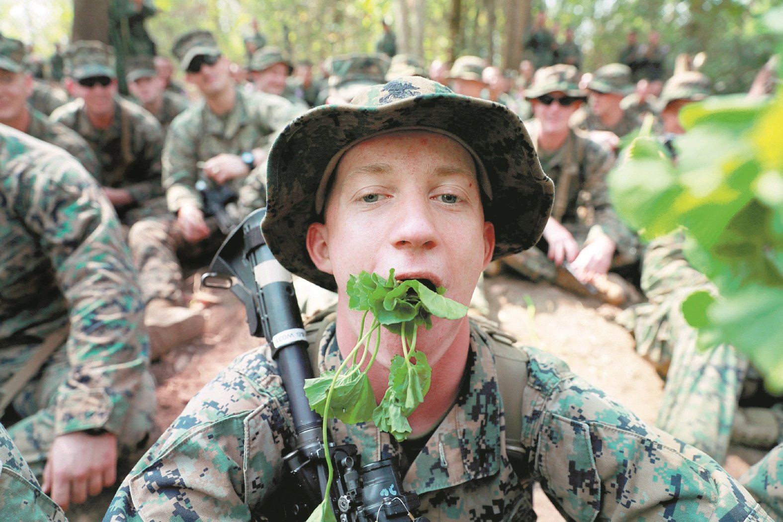 一名美国士兵在丛林求生考验期 间，朝著镜头嚼著野菜，表情滑稽逗趣。此次军演约有4500至6800名 美兵参与，是去年的近2倍。