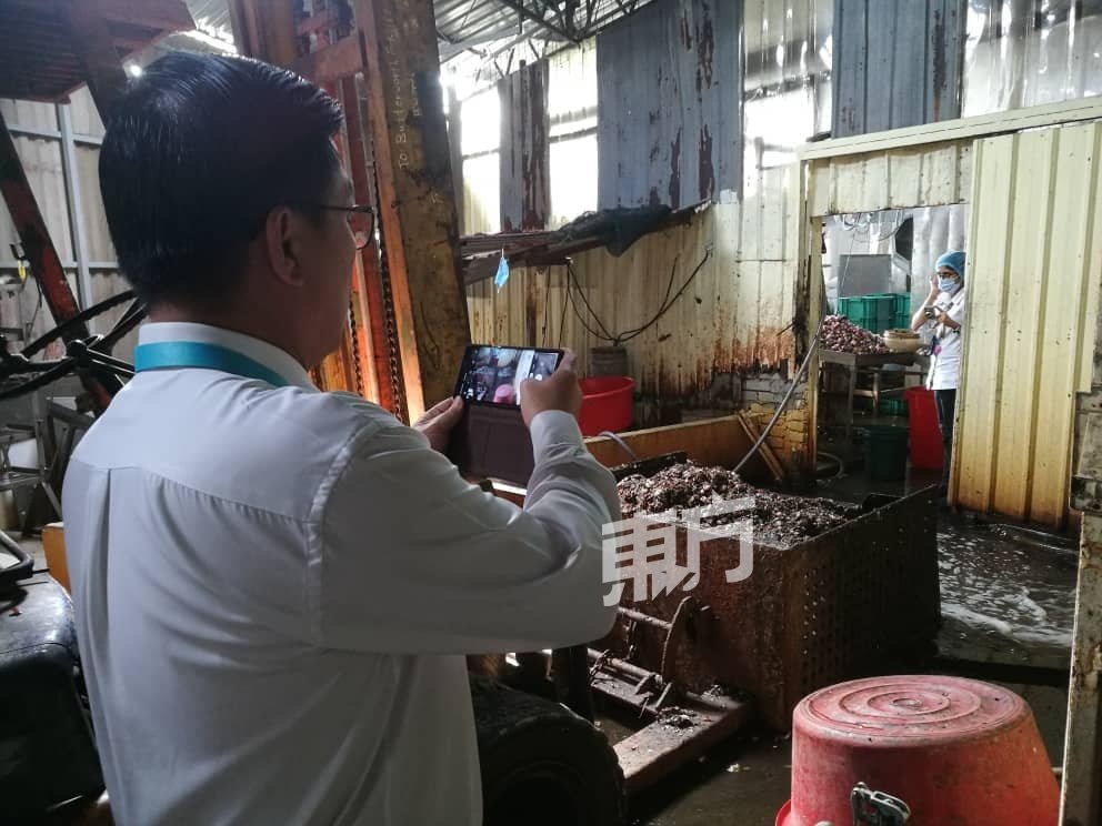 王勇元视察排水系统欠佳的食品加工厂时，以手机摄录状况。