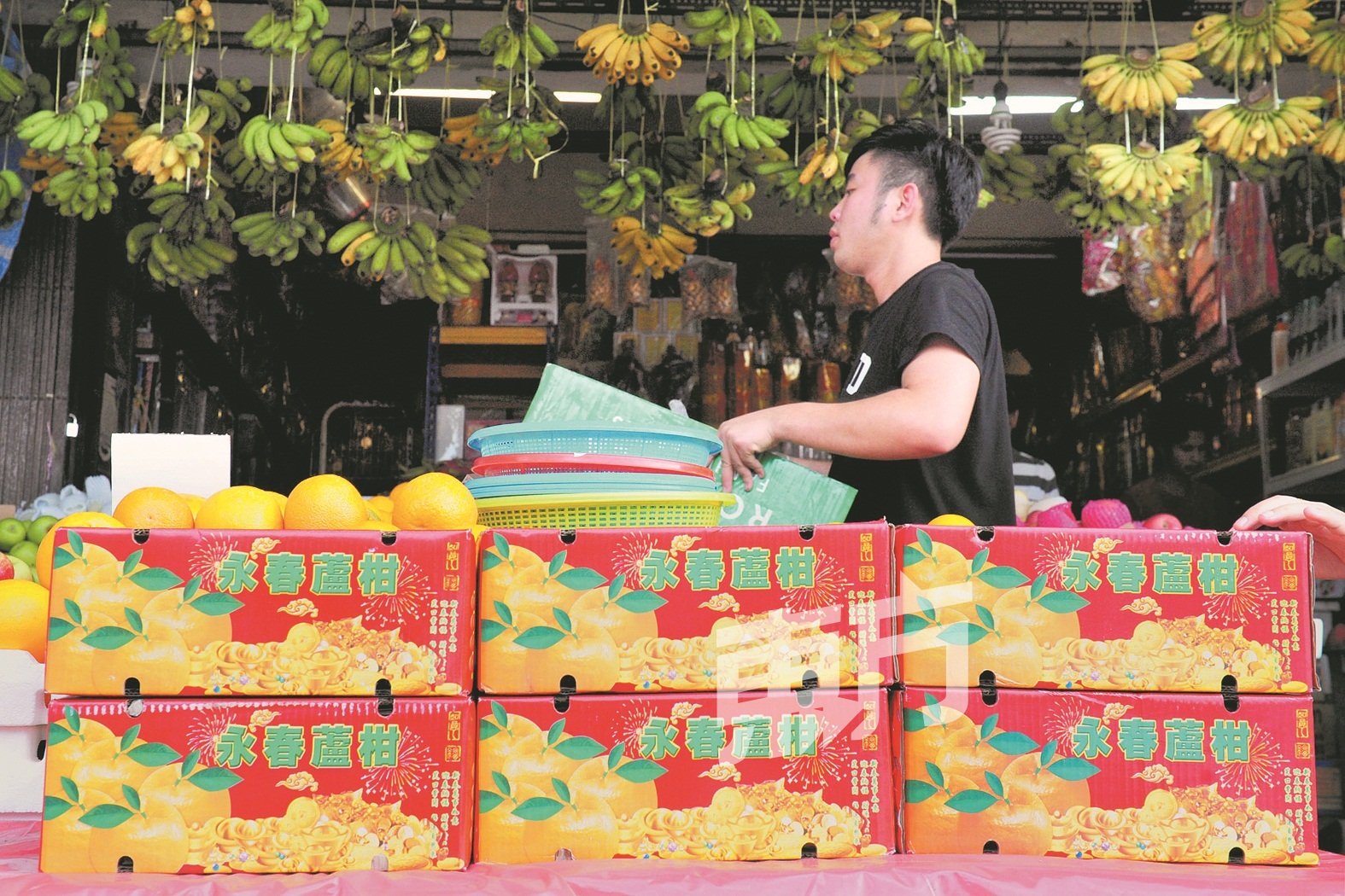 受访商家表示，中国的卢柑丰收，今年的年柑售价有望下调10至30％。 （摄影：杨金森）