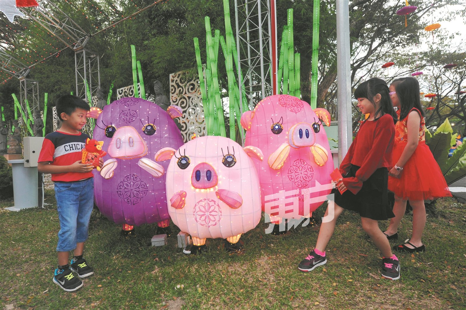 仁嘉隆新村小孩有机会预览东禅寺灯会，五彩缤纷的猪型花灯吸引了孩子们的目光。