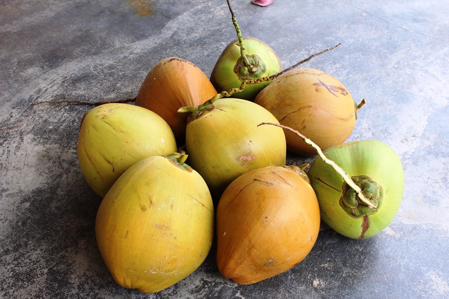 马达椰拥有3种颜色，分别是最常见的绿，还有黄及橙色，但椰水的味道一样。