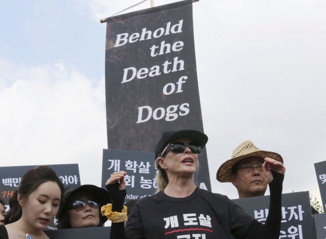 好莱坞女星金贝辛嘉（中）加入韩国动保人士抗议行列。