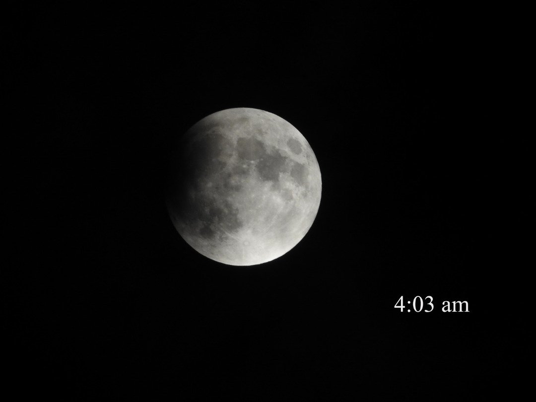 凌晨4时3分，月偏食在千呼万唤中终于登场。
