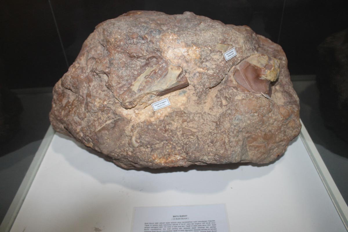 理大考古团队在武吉布农露天遗址，发现到一个约183万年前，陨石撞击武吉布农时产生的凝灰角砾石，大石中可发现旧石器时代的手斧和石器融合在内。