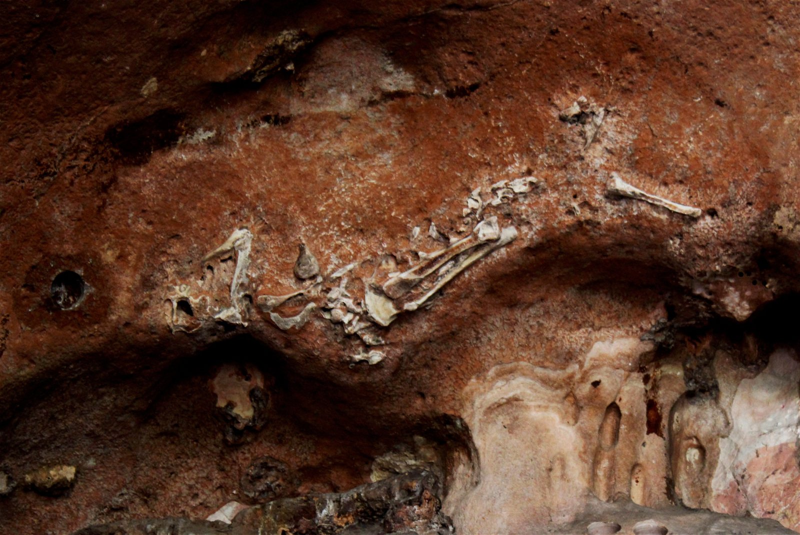 金龙洞拥有不少化石，曾吸引游客到访观赏，州政府去年10年宣布暂时关闭该洞，不开放参观，好让专才专注研究。（档案照）