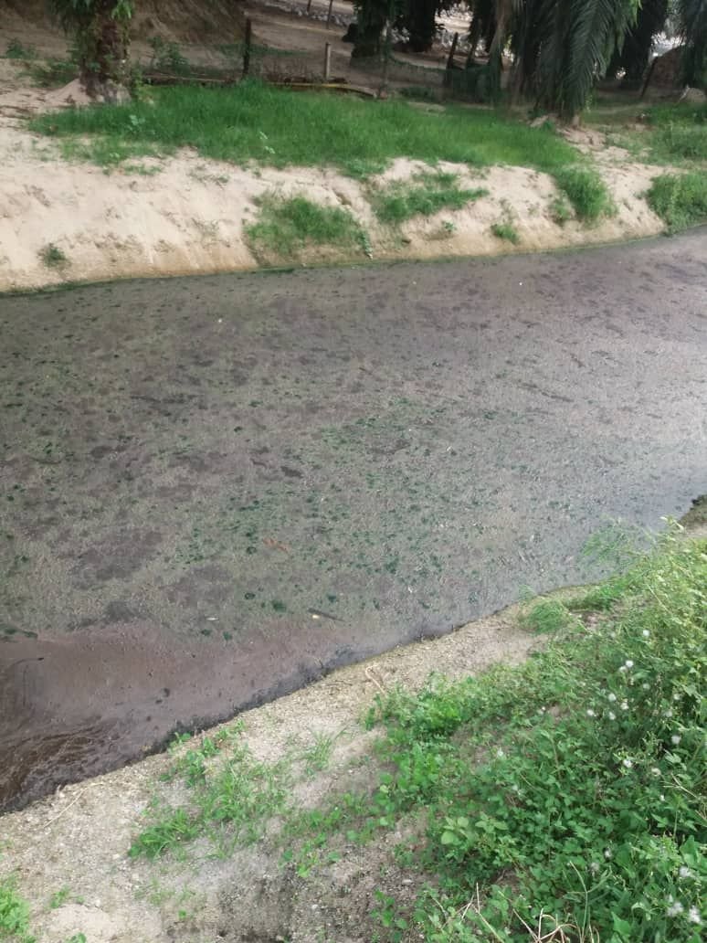 养鸭场主人发现从附近河流引进鸭场的河水呈黑色及污浊不已外，还发出恶臭味。