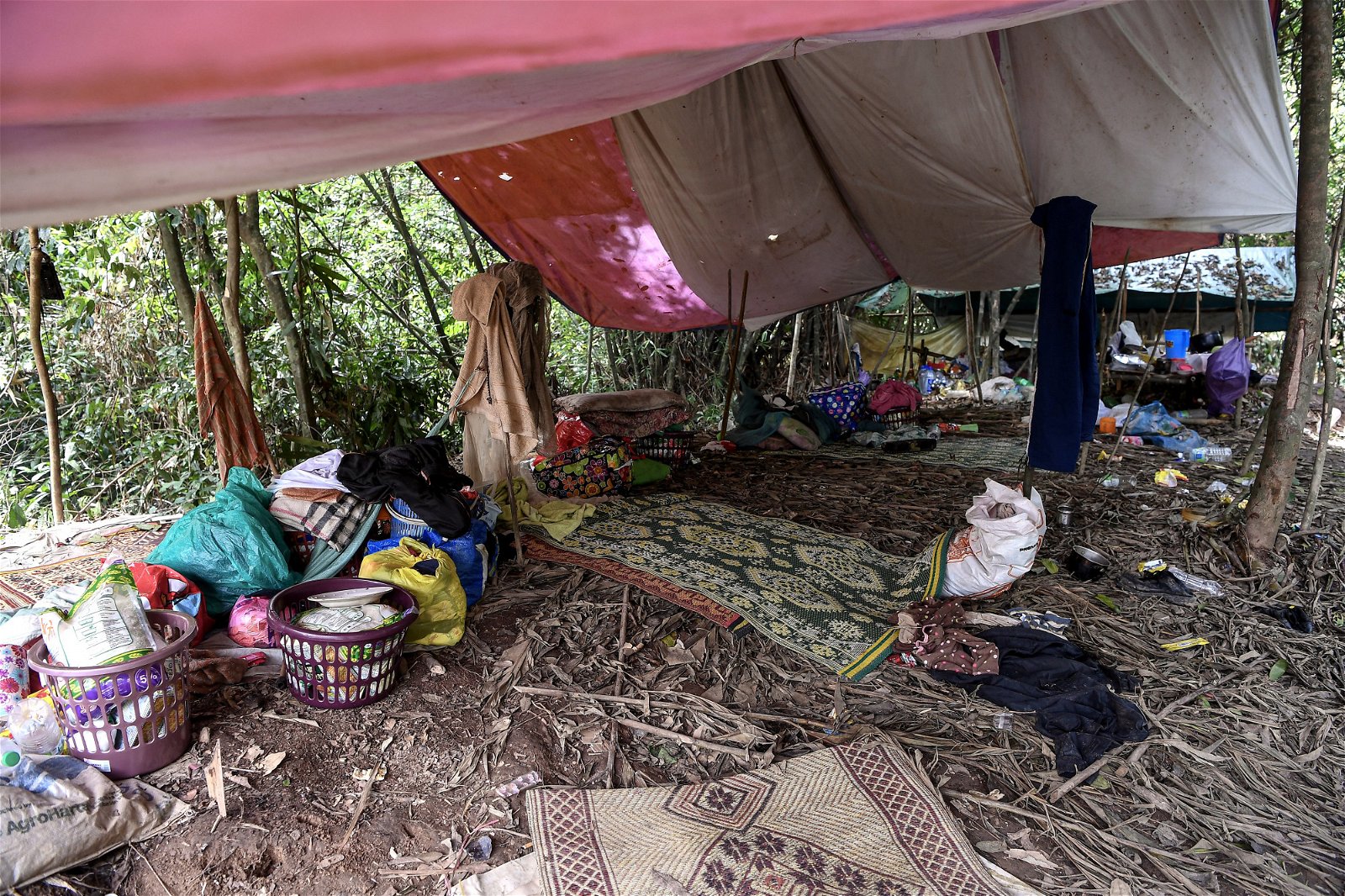 峇迪族原住民为了避疫情而在距离村庄3公里处建立的临时营地，20个帐篷非常简陋，卫生环境也堪忧。